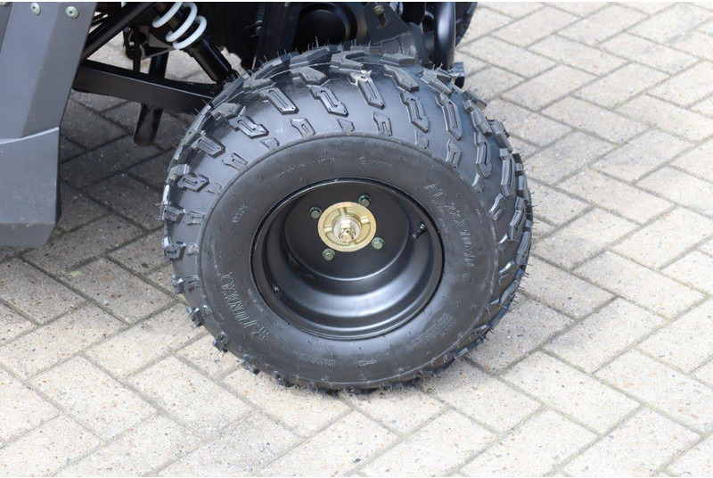 Carrinho de golfe novo Wextrem UTV-ATV 200Pro: foto 14