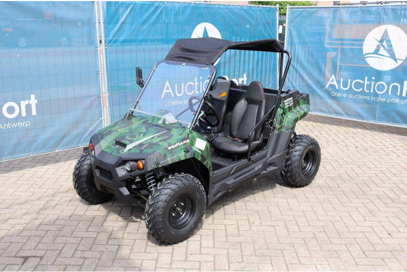 Carrinho de golfe novo Wextrem UTV-ATV 200Pro: foto 8