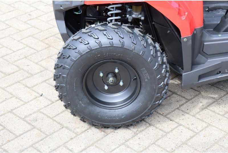 Carrinho de golfe novo Wextrem UTV-ATV 200Pro: foto 12