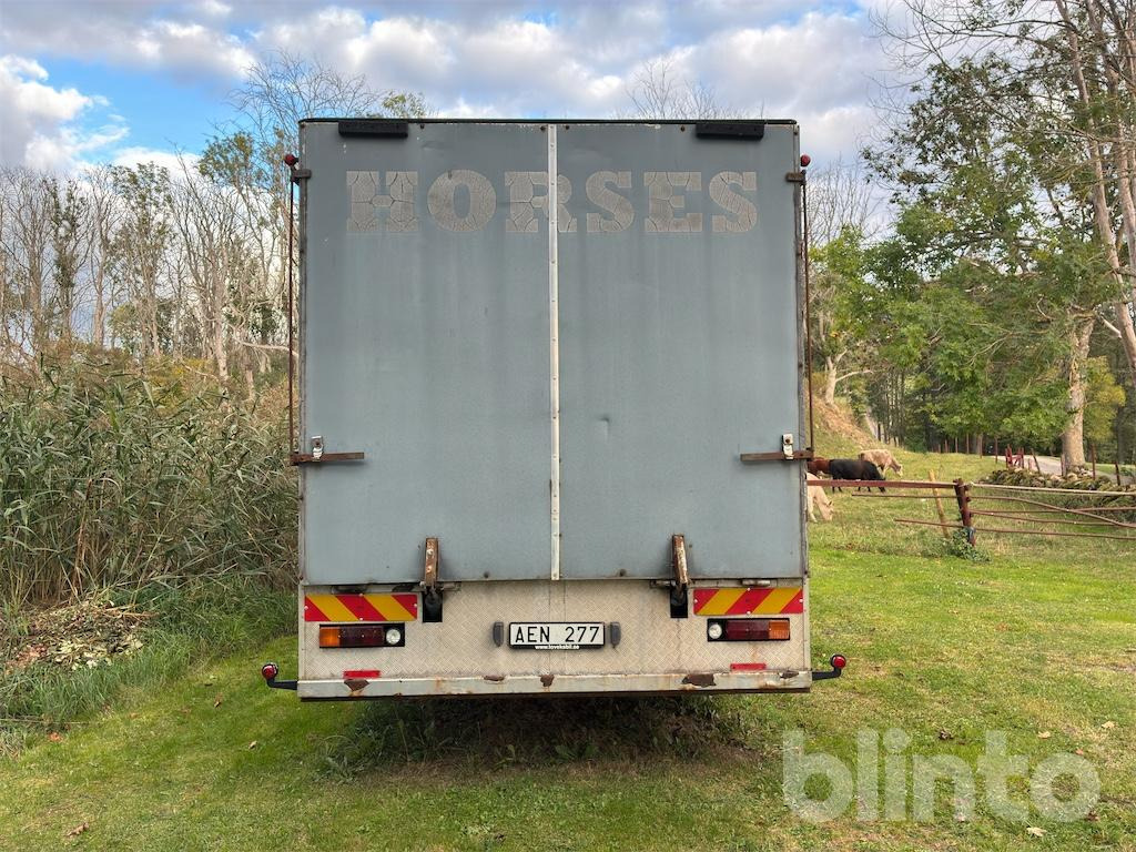 VOLVO FL614 - Camião de transporte de cavalos: foto 4 VOLVO FL614 - Camião de transporte de cavalos: foto 4