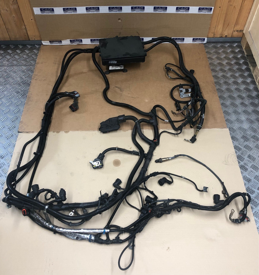 FASCIA CAVI MOTORE MAN 81254246448 - Cables/ Wire harness para Camião: foto 1 FASCIA CAVI MOTORE MAN 81254246448 - Cables/ Wire harness para Camião: foto 1